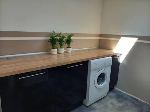 Agreable Maison De Ville Au Calme Selles-sur-Cher Exteriör bild